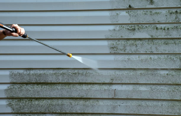 Best Gutter Cleaning  in Nneconne, WI